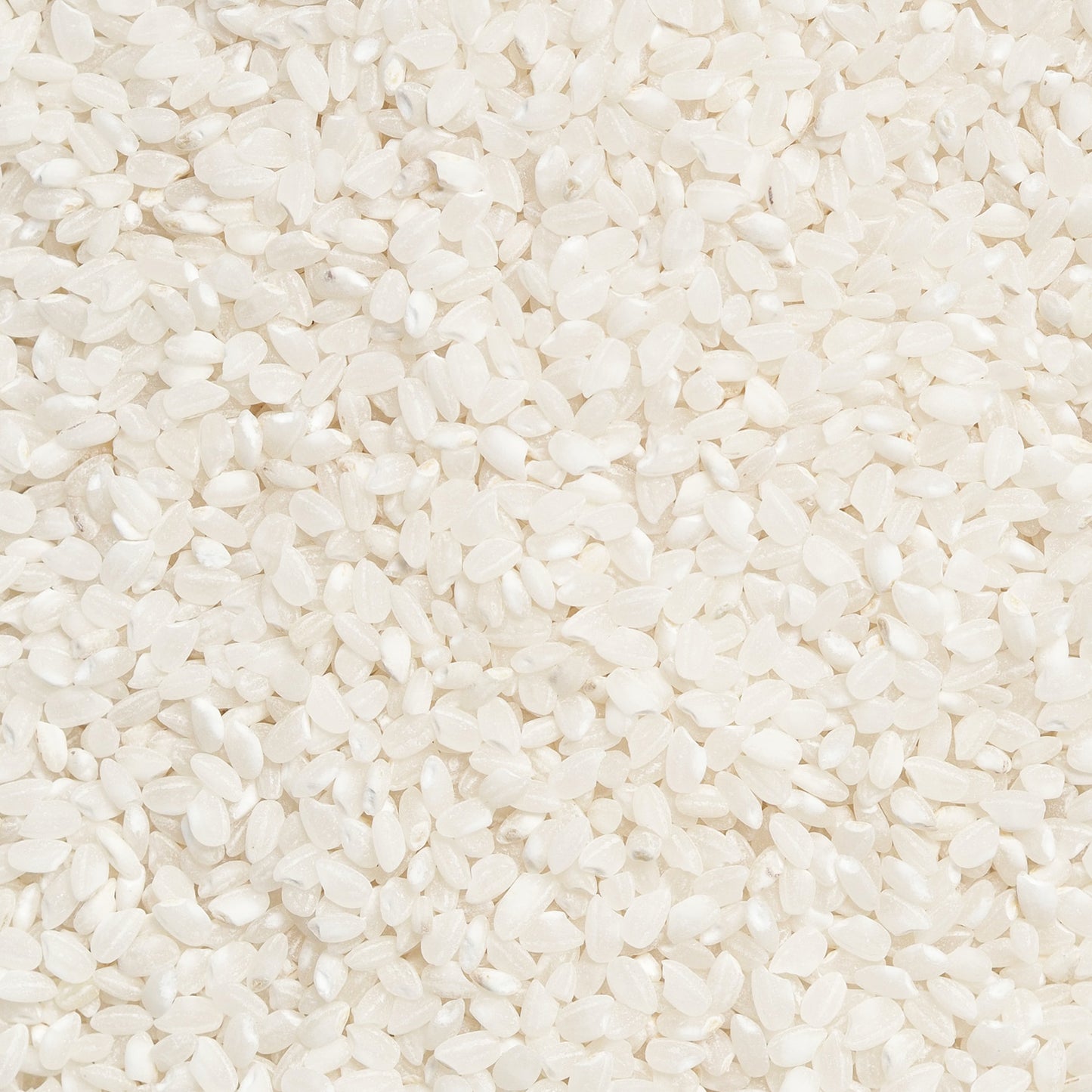 佐原農園の新米 さはら米5kg(令和7年度産きぬむすめ)